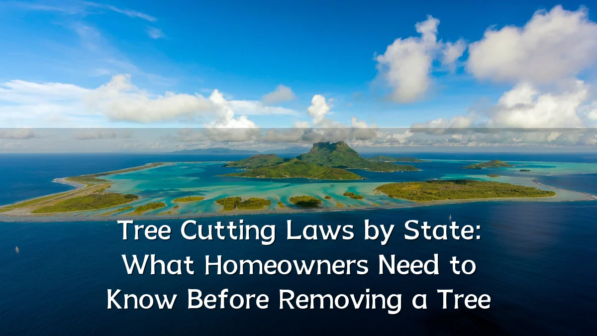 Tree Cutting Laws by State: What Homeowners Need to Know Before Removing a Tree