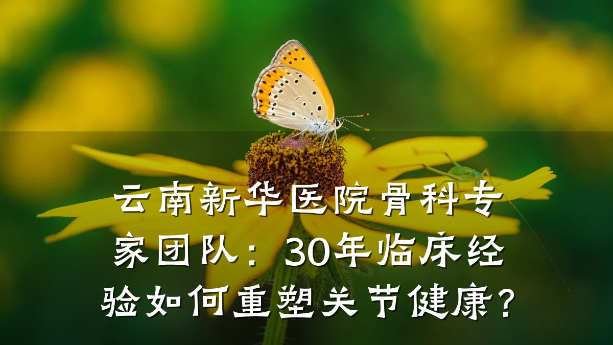 云南新华医院骨科专家团队:30年临床经验如何重塑关节健康?