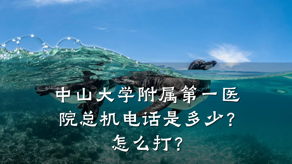 中山大学附属第一医院总机电话是多少？怎么打？