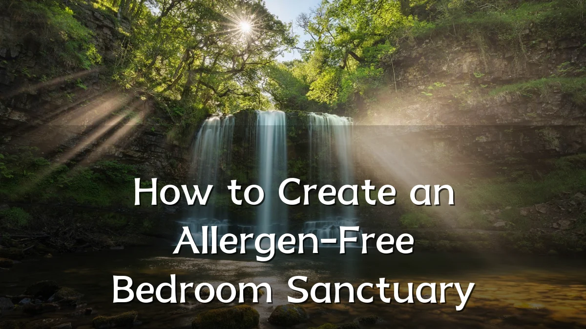 How to Create an Allergen-Free Bedroom Sanctuary
