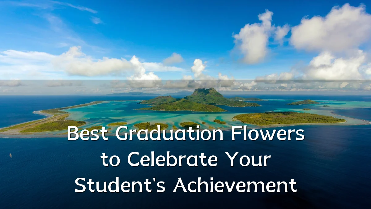 Best Graduation Flowers to Celebrate Your Student's Achievement