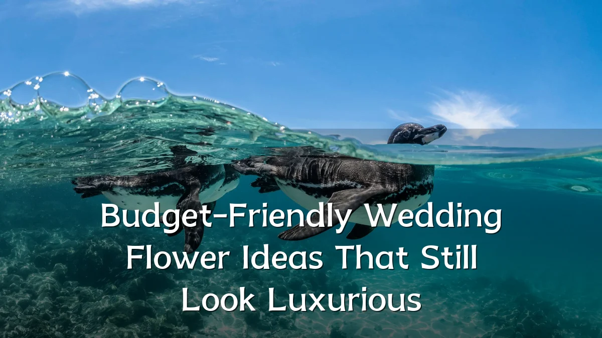 Budget-Friendly Wedding Flower Ideas That Still Look Luxurious