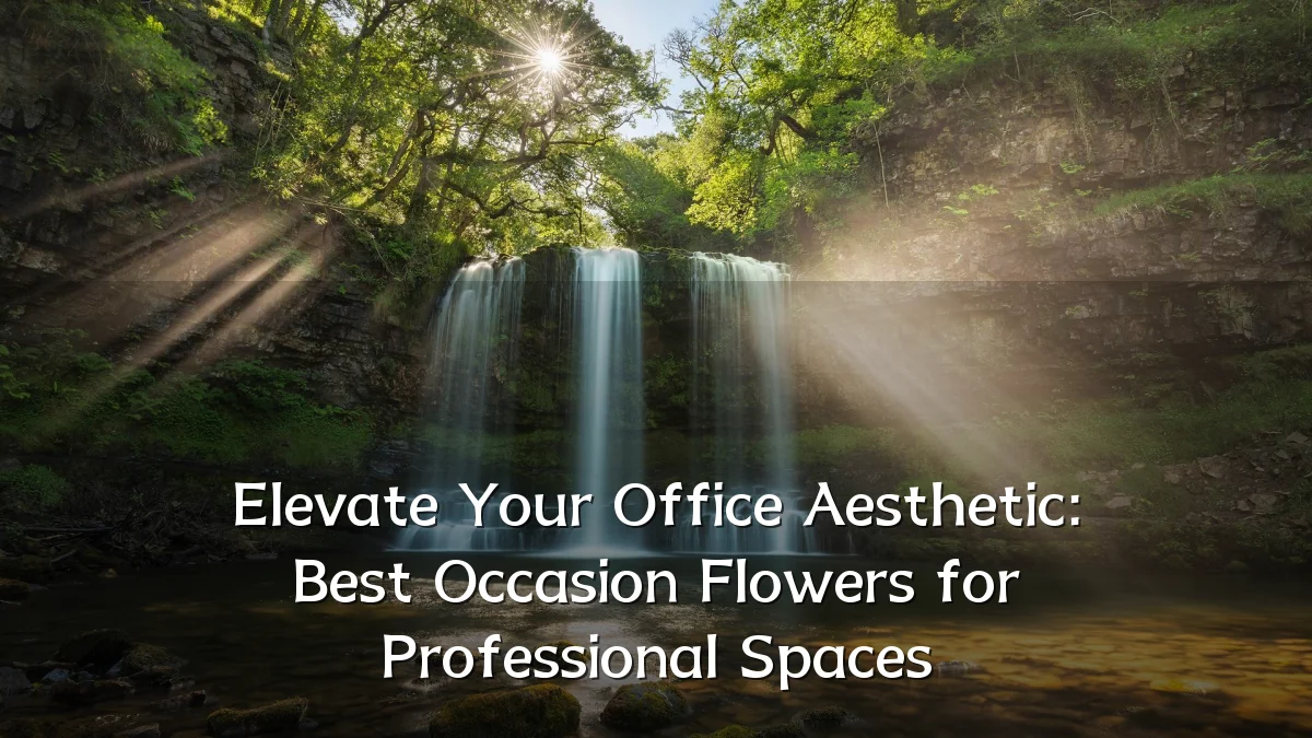 Elevate Your Office Aesthetic: Best Occasion Flowers for Professional Spaces