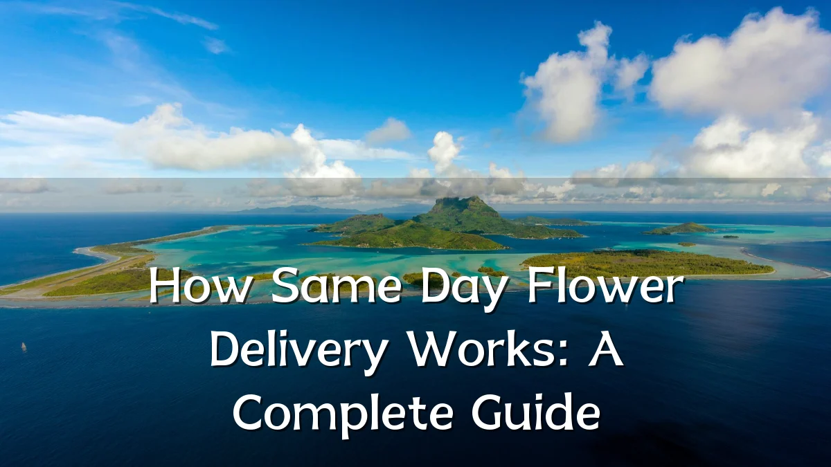 How Same Day Flower Delivery Works: A Complete Guide