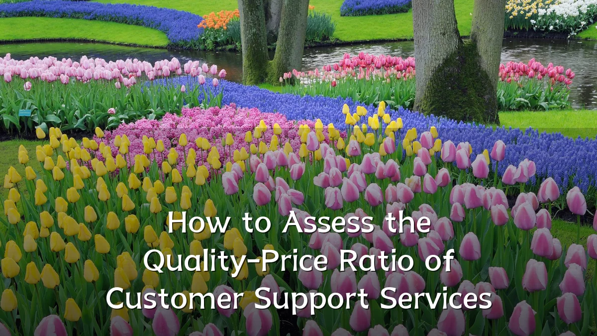 How to Assess the Quality-Price Ratio of Customer Support Services