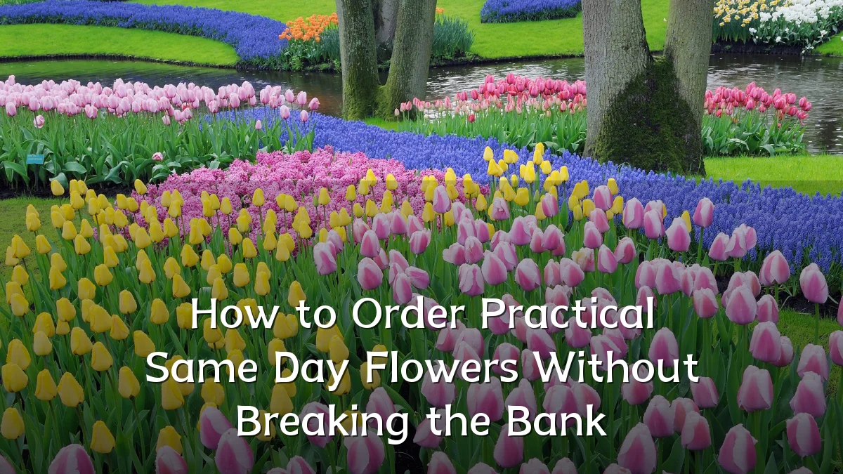How to Order Practical Same Day Flowers Without Breaking the Bank