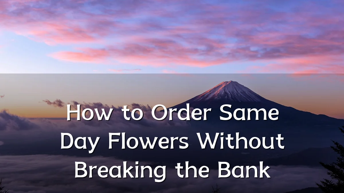How to Order Same Day Flowers Without Breaking the Bank