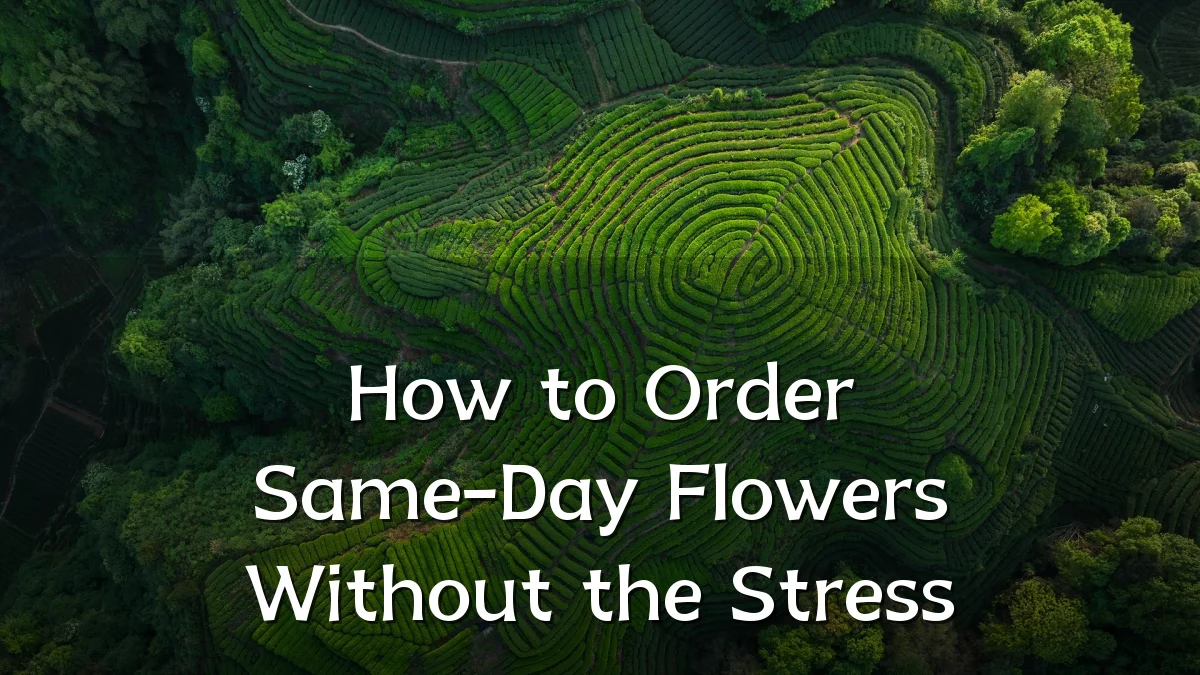 How to Order Same-Day Flowers Without the Stress