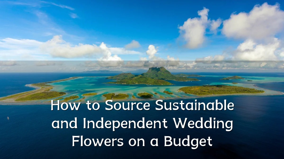 How to Source Sustainable and Independent Wedding Flowers on a Budget