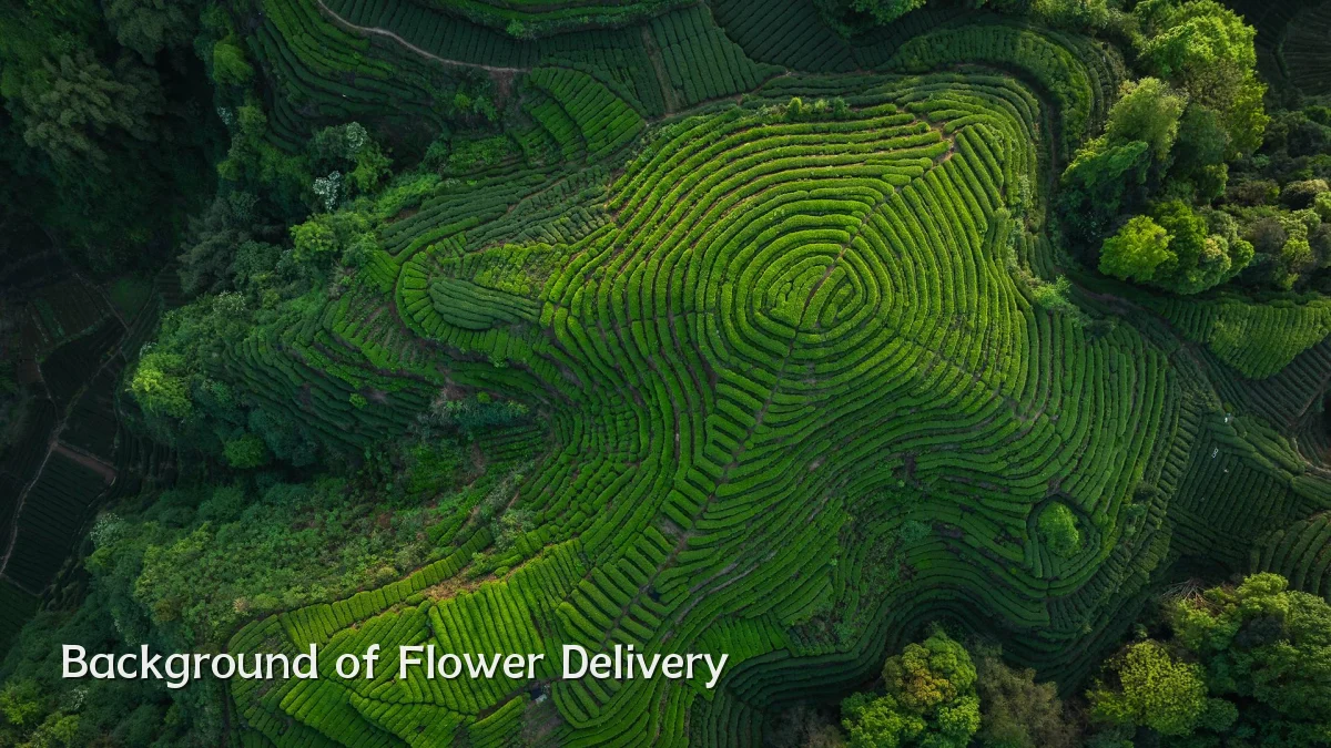 Background of Flower Delivery