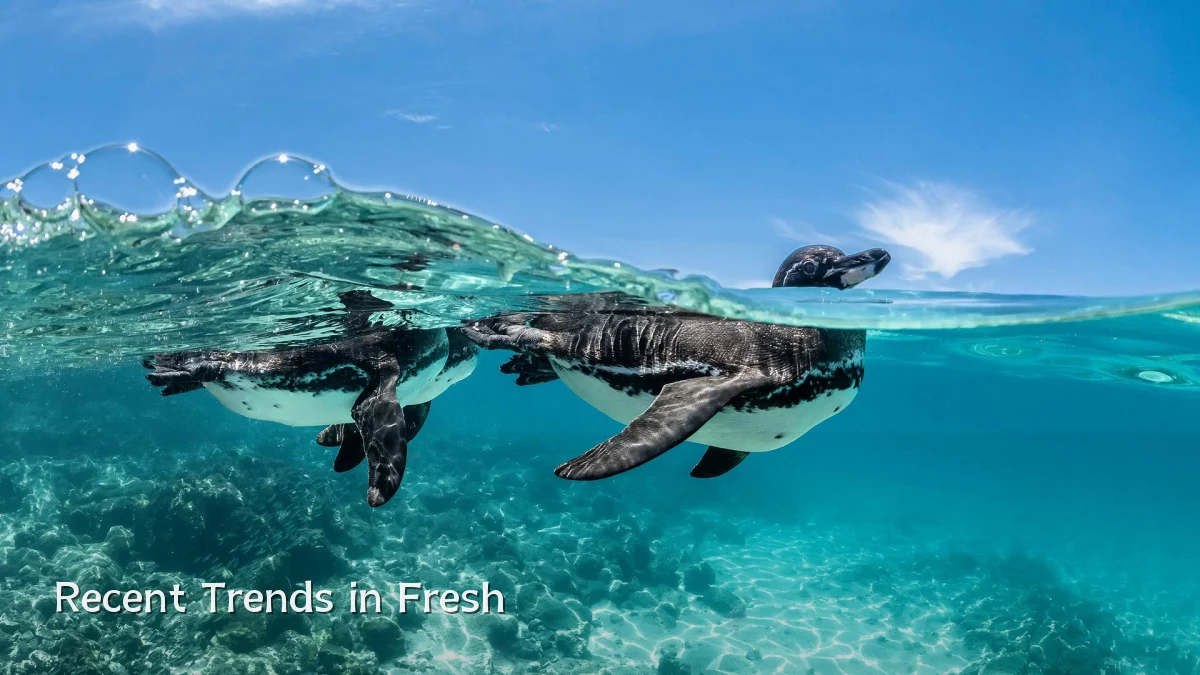 Recent Trends in Fresh