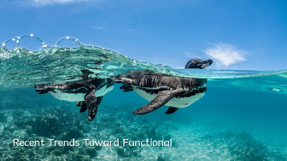 Recent Trends Toward Functional