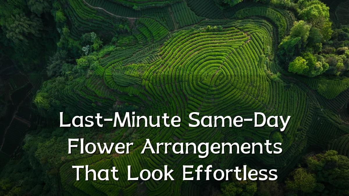 Last-Minute Same-Day Flower Arrangements That Look Effortless
