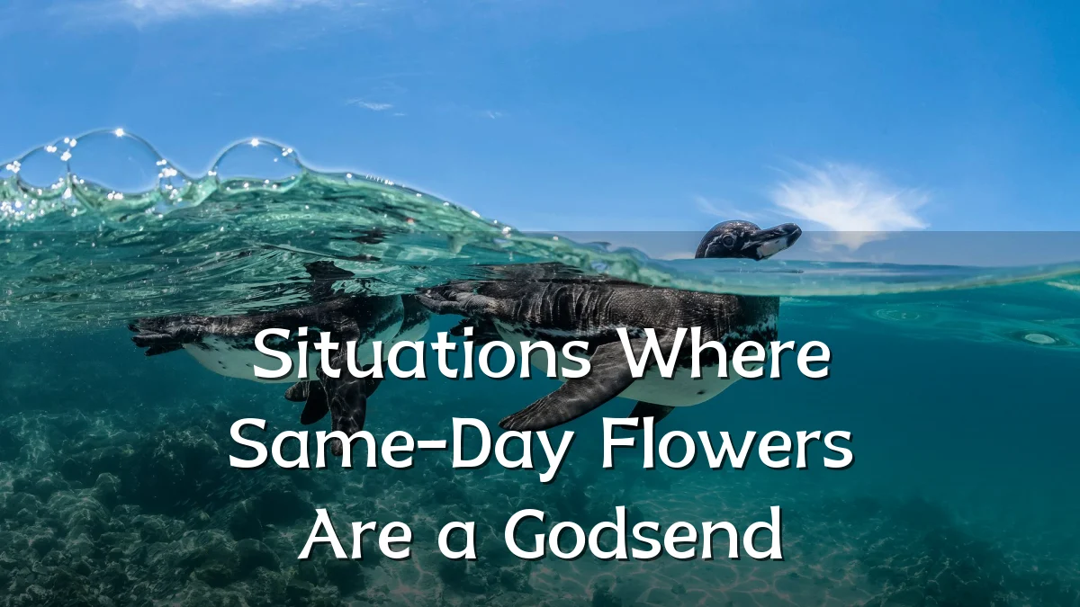 Situations Where Same-Day Flowers Are a Godsend