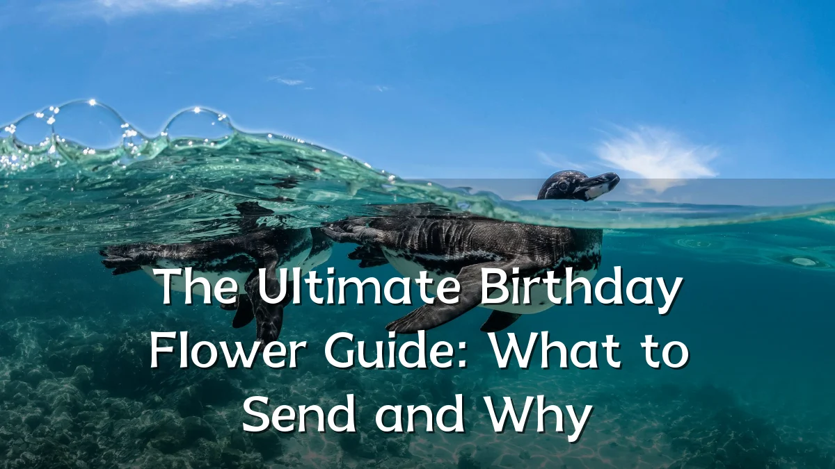 The Ultimate Birthday Flower Guide: What to Send and Why