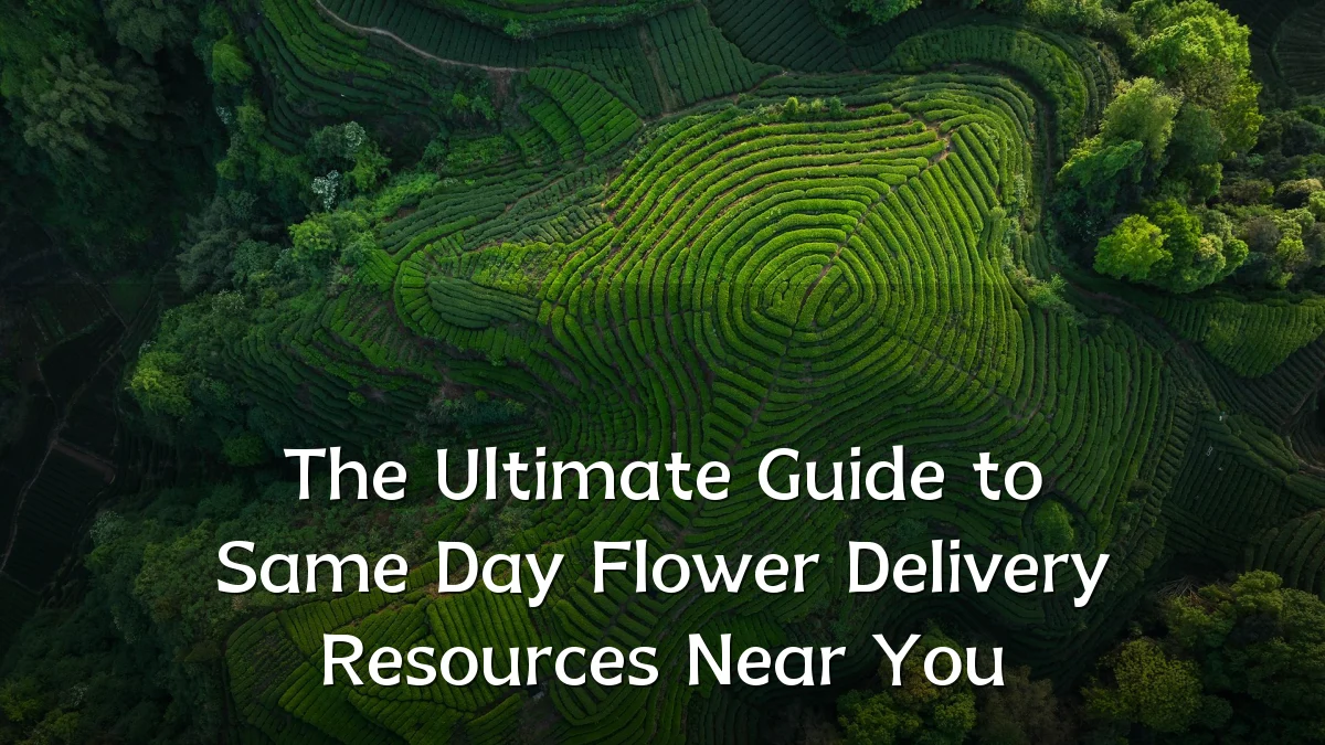 The Ultimate Guide to Same Day Flower Delivery Resources Near You