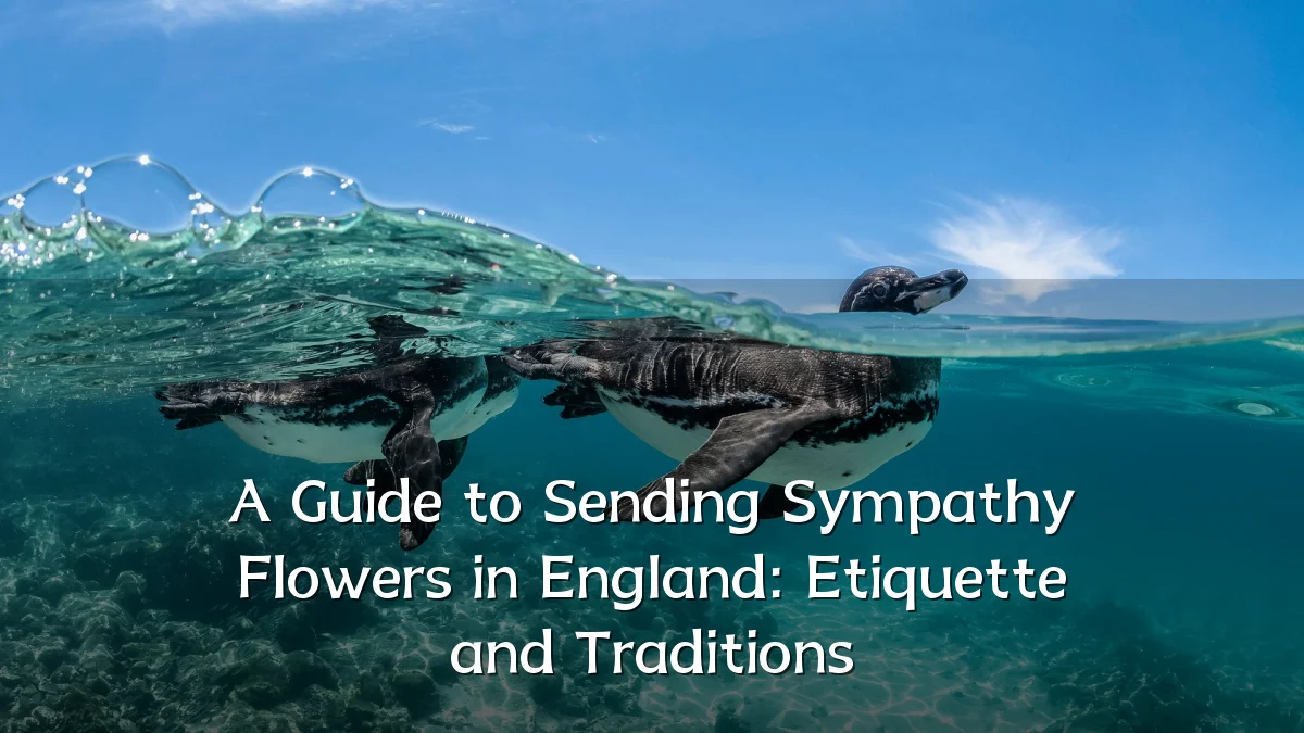 A Guide to Sending Sympathy Flowers in England: Etiquette and Traditions