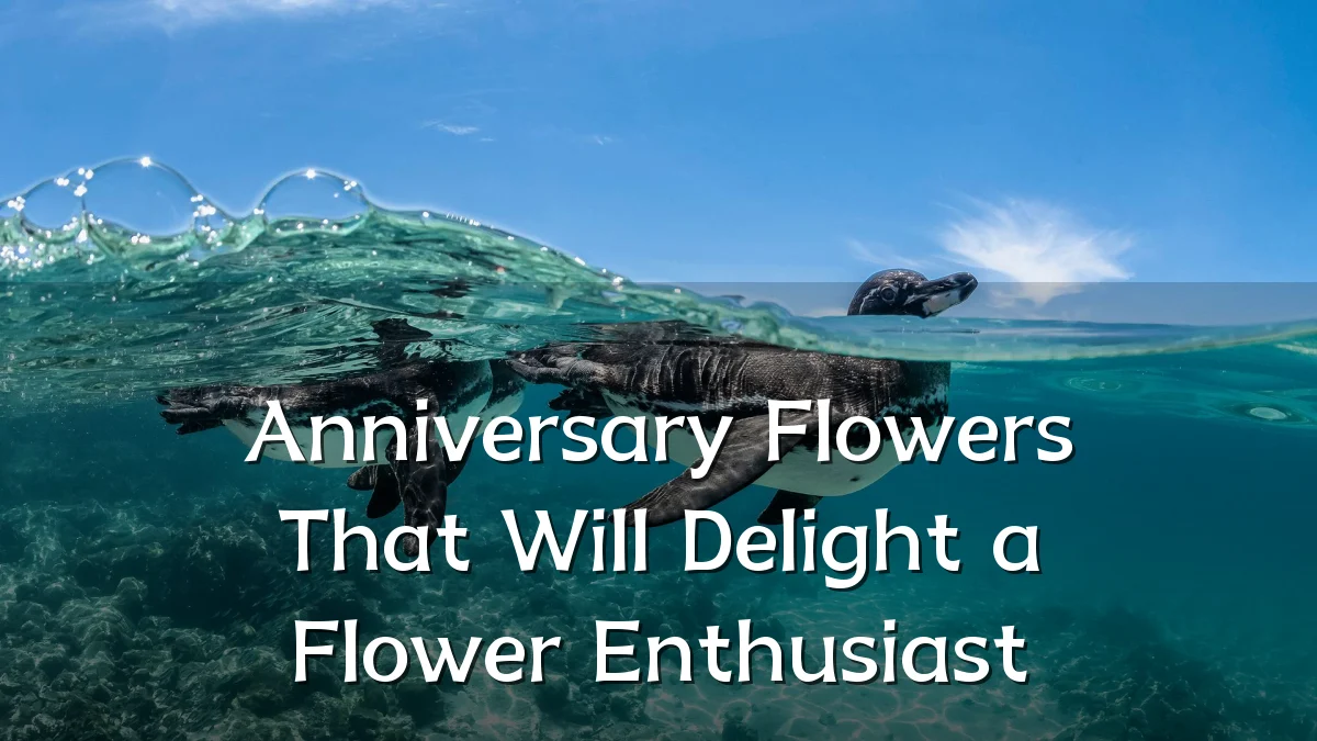 Anniversary Flowers That Will Delight a Flower Enthusiast