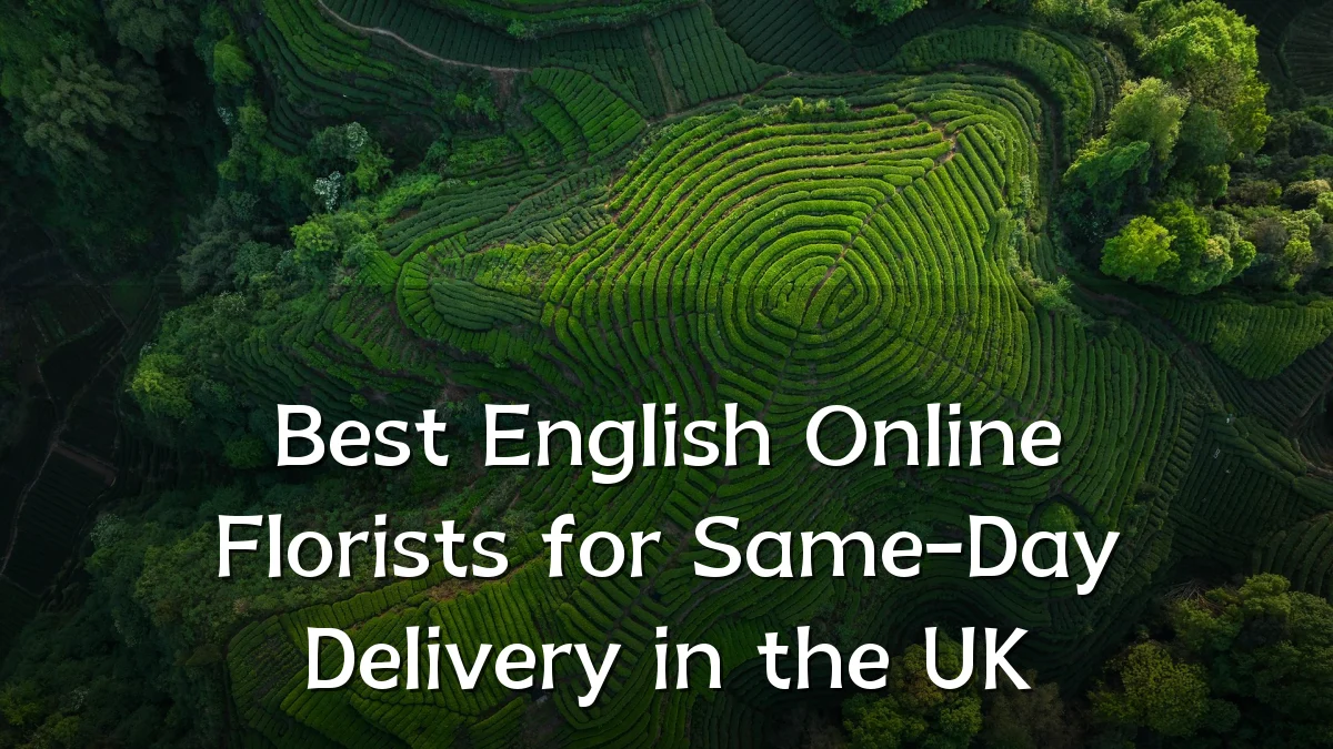 Best English Online Florists for Same-Day Delivery in the UK