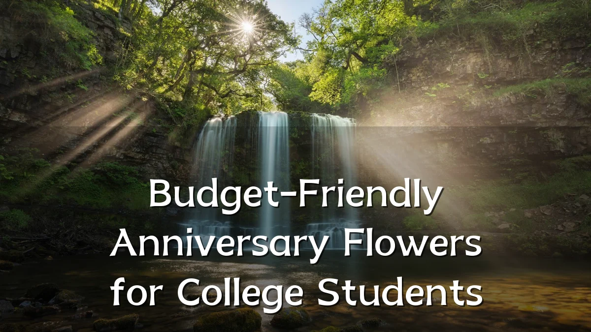 Budget-Friendly Anniversary Flowers for College Students