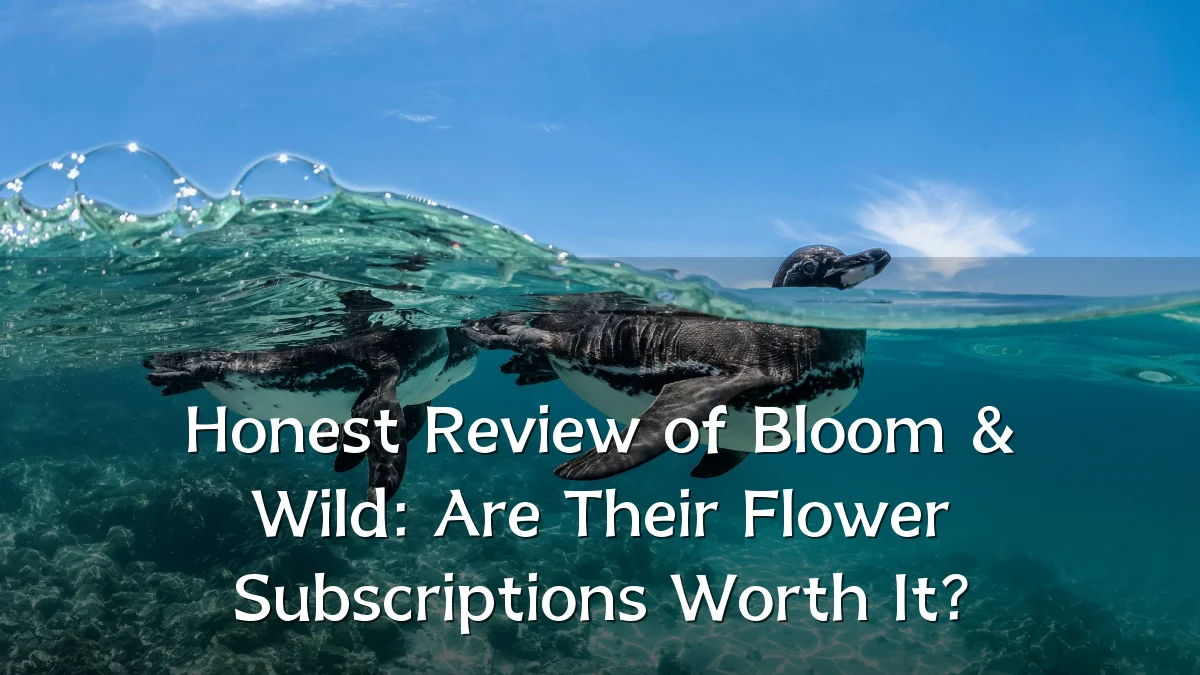Honest Review of Bloom & Wild: Are Their Flower Subscriptions Worth It?