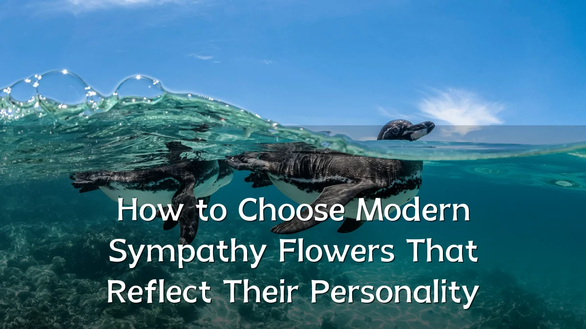 How to Choose Modern Sympathy Flowers That Reflect Their Personality