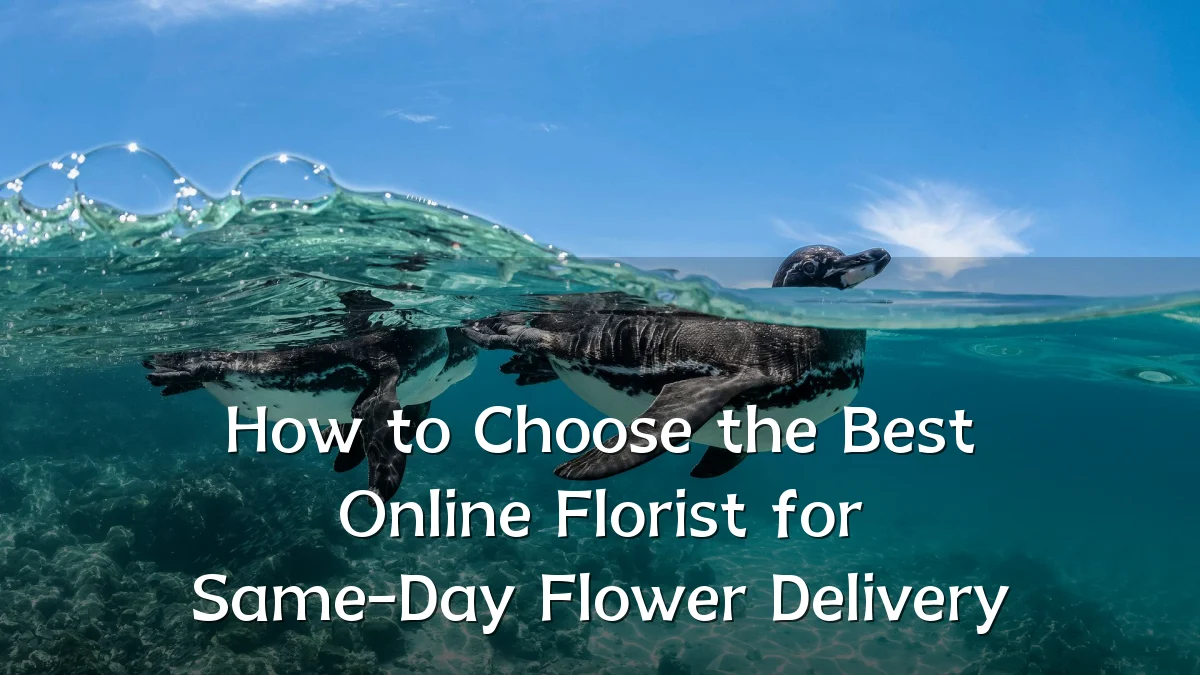 How to Choose the Best Online Florist for Same-Day Flower Delivery