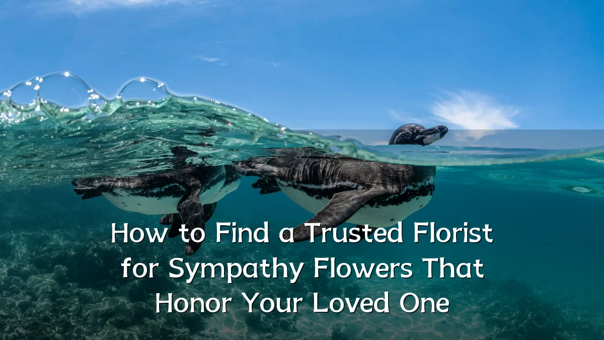 How to Find a Trusted Florist for Sympathy Flowers That Honor Your Loved One