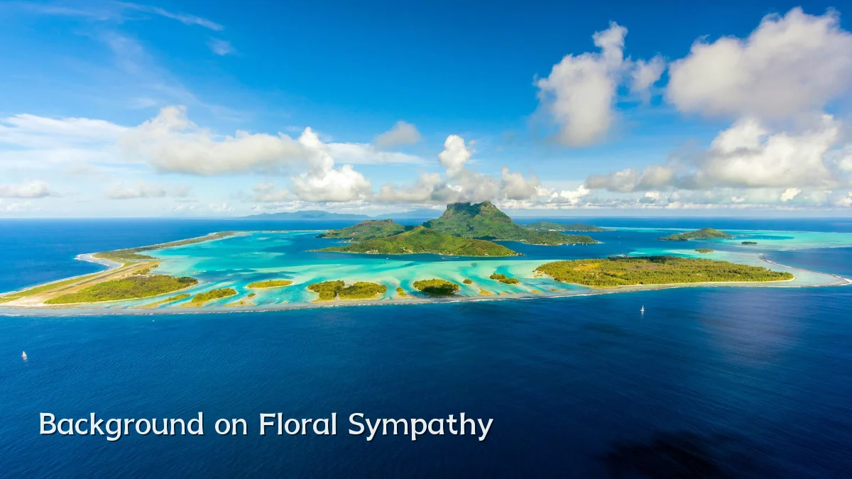 Background on Floral Sympathy