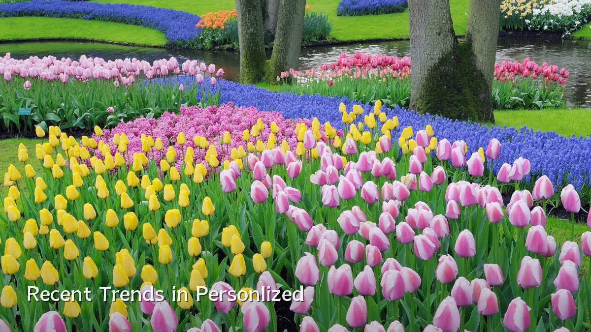 Recent Trends in Personlized