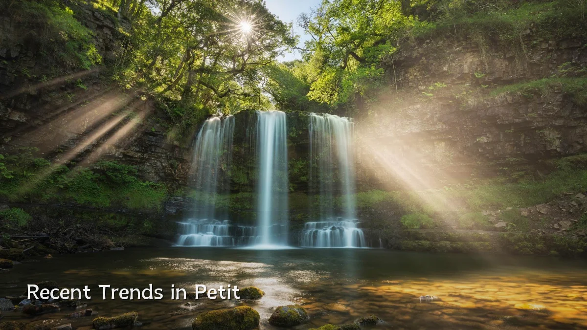 Recent Trends in Petit