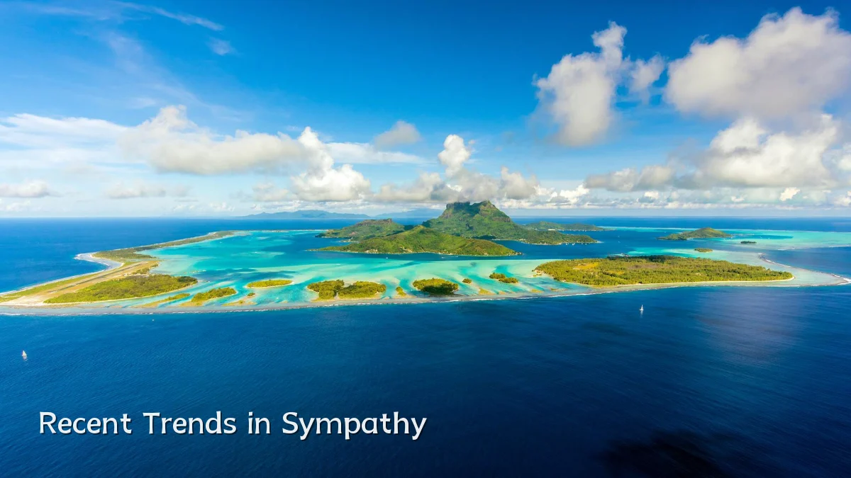 Recent Trends in Sympathy