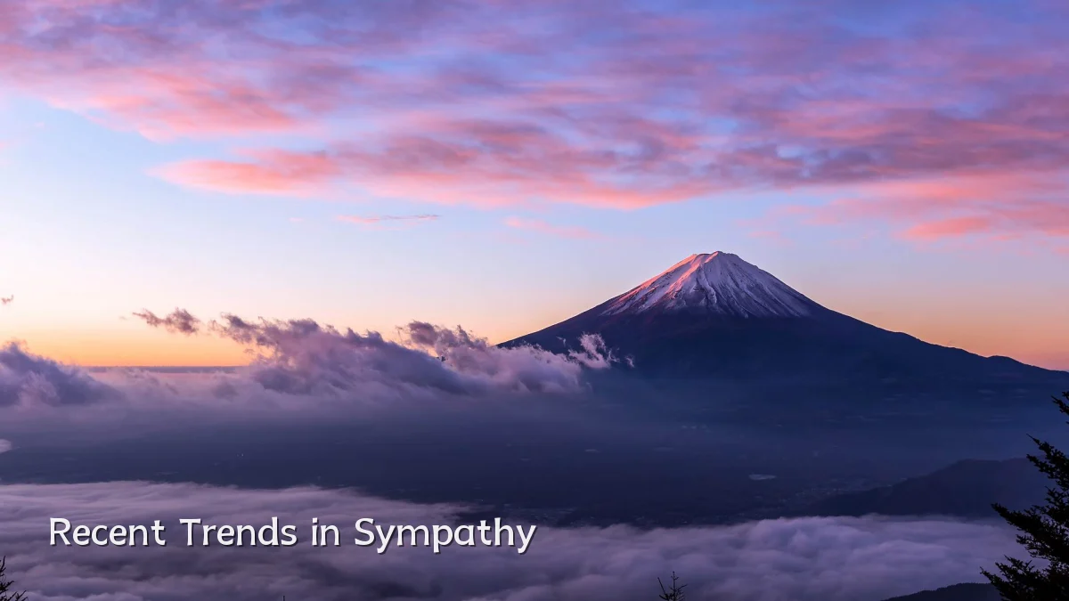 Recent Trends in Sympathy