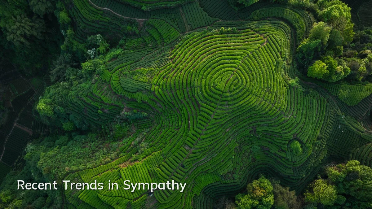 Recent Trends in Sympathy