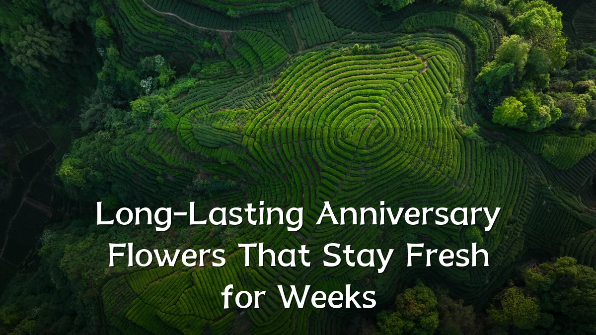 Long-Lasting Anniversary Flowers That Stay Fresh for Weeks