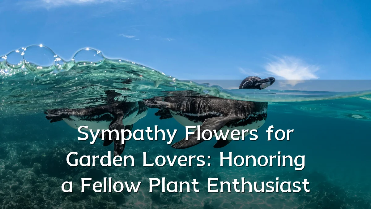 Sympathy Flowers for Garden Lovers: Honoring a Fellow Plant Enthusiast