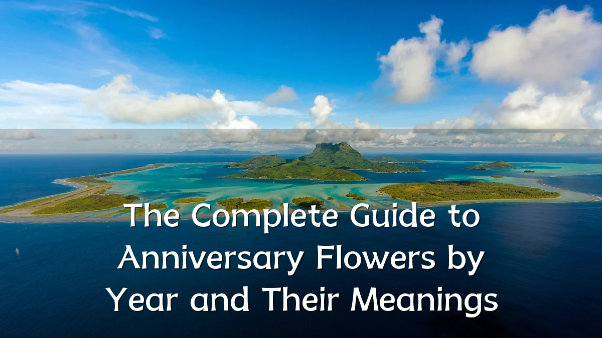 The Complete Guide to Anniversary Flowers by Year and Their Meanings