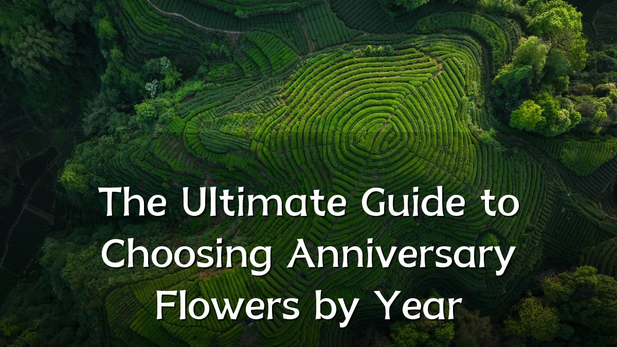 The Ultimate Guide to Choosing Anniversary Flowers by Year