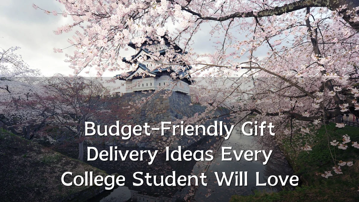 Budget-Friendly Gift Delivery Ideas Every College Student Will Love