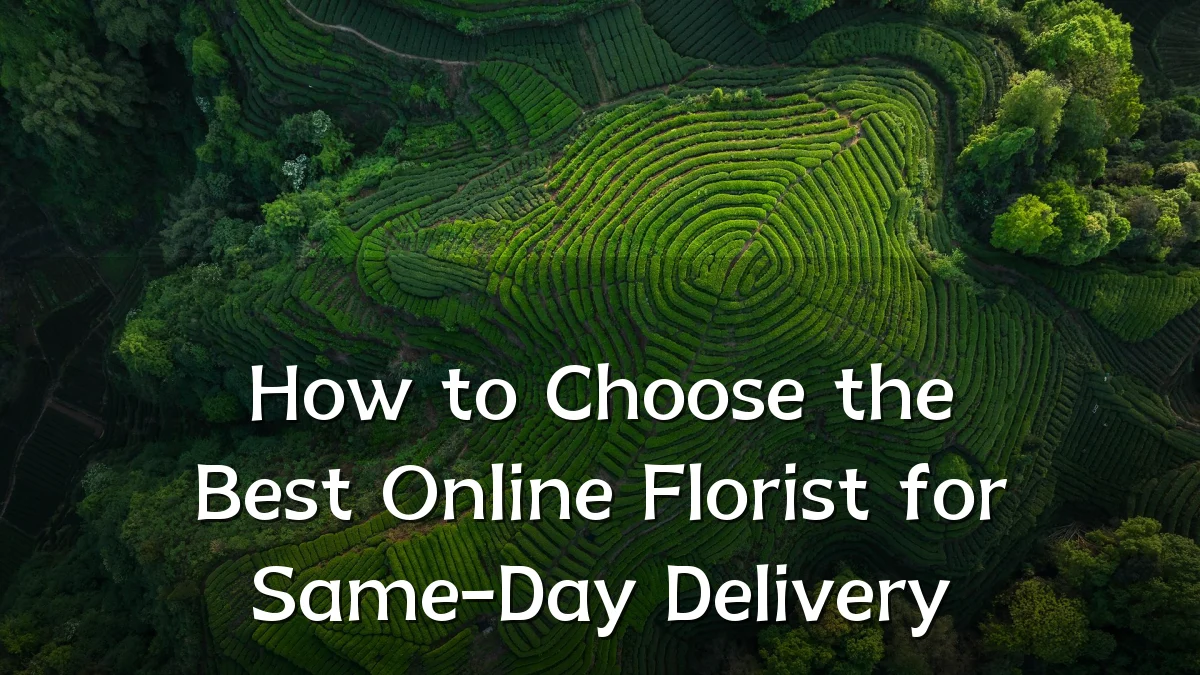 How to Choose the Best Online Florist for Same-Day Delivery