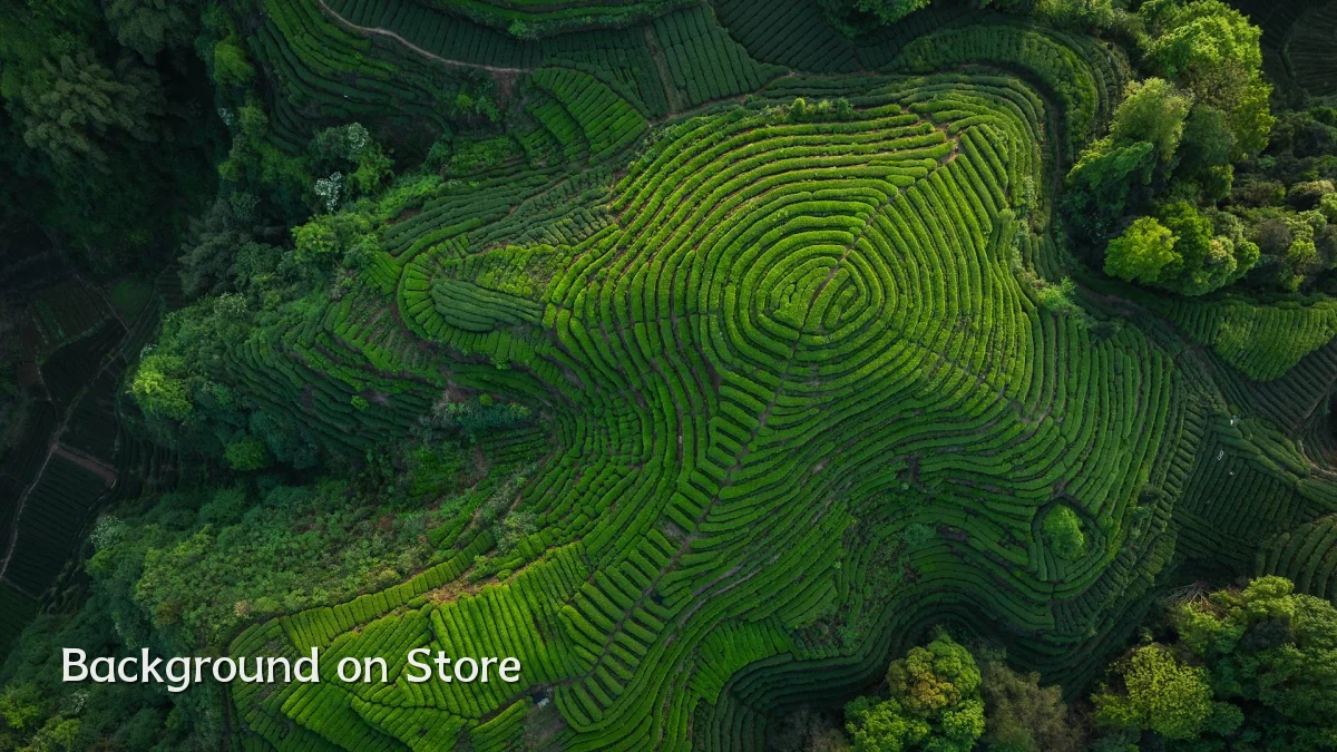 Background on Store
