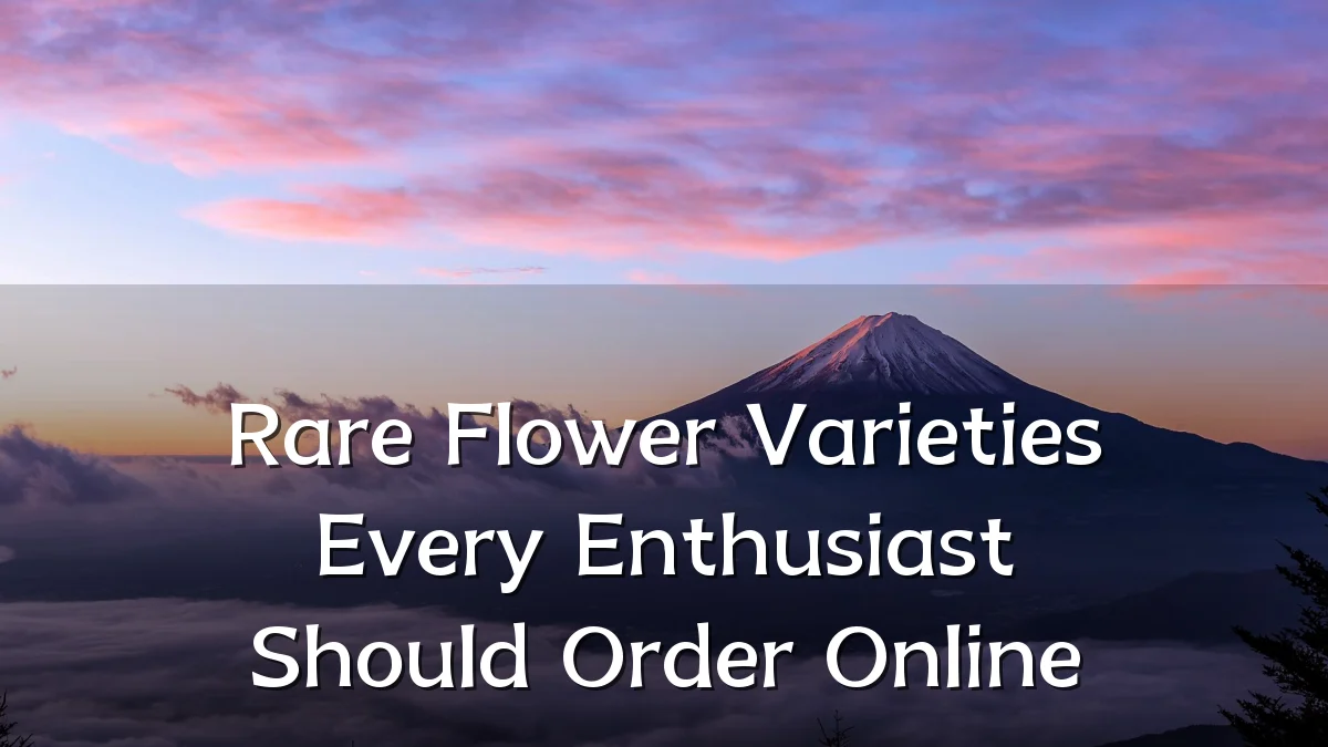 Rare Flower Varieties Every Enthusiast Should Order Online