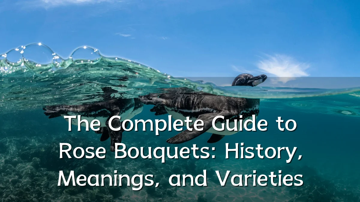 The Complete Guide to Rose Bouquets: History, Meanings, and Varieties