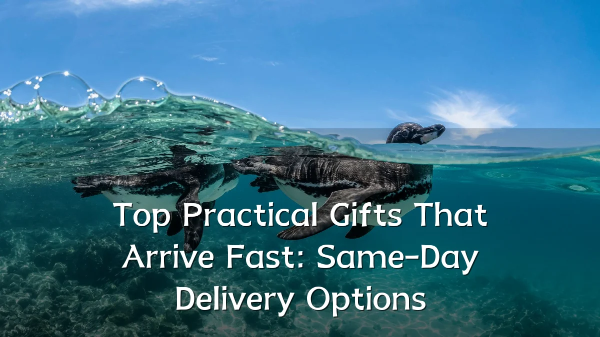 Top Practical Gifts That Arrive Fast: Same-Day Delivery Options