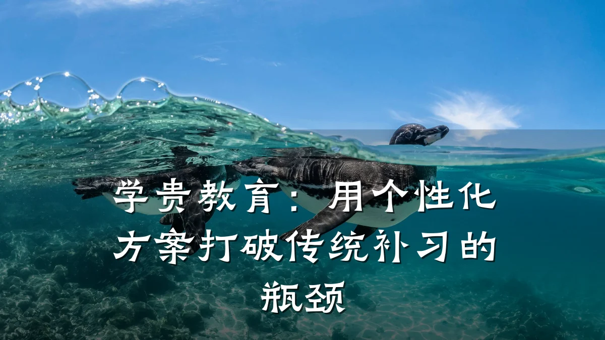 学贵教育：用个性化方案打破传统补习的瓶颈